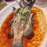 在清湖！！挖到宝藏商务接待餐厅