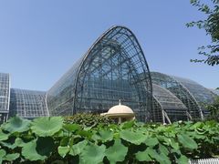-南山植物园