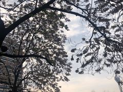 -红星桥(地铁站)