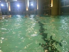 -一兆韦德健身(慧芝湖店)