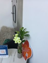 -索菲医疗整形美容