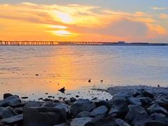 -宝安西湾红树林湿地公园