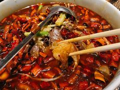 毛血旺-北平盛世·新京菜·北京烤鸭(劲松·双井店)