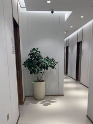 -禾丽康美医疗美容医院