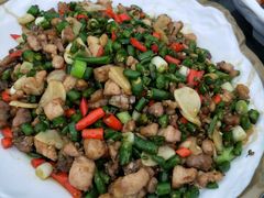 尖椒鸡-老幺泉水鸡