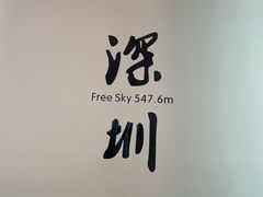 -平安金融中心云际观光层