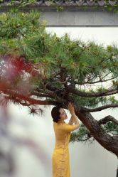 -Mu慕婚纱摄影·超级工作室