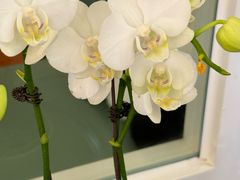 -南堂馆·新川菜(春熙路店)