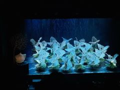 -福州海峡文化艺术中心