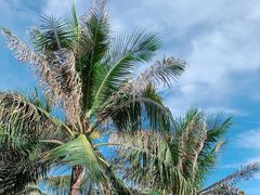 -碧桂园十里银滩