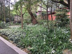 -峨眉山报国寺