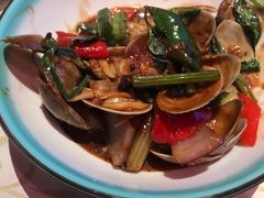 -蝴蝶汇音乐酒馆(罗湖店)