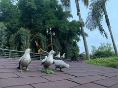 -海兰云天度假区温泉