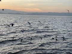 -大理洱海