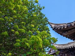 -常熟方塔园