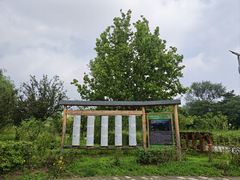 -绿堤公园