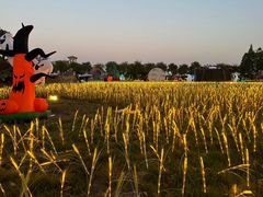 -歌斐颂巧克力小镇