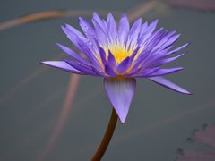 -国家植物园(地铁站)