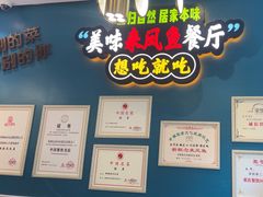 -新概念来凤鱼(璧山店)