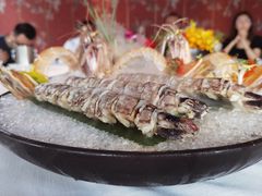 -三号黄浦会Canton Table