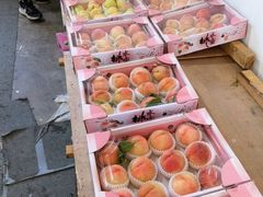 -南汇水蜜桃采摘(大团店)