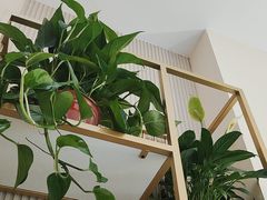 -Tuna maki寿司(园区永旺店)