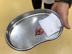 -瑞派天宁宠物医院·猫科·异宠中心