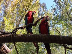 -北京野生动物园