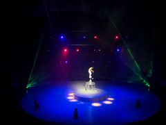 -重庆国际马戏城