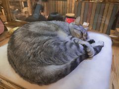 -小时光咖啡馆(开森度假森林店)
