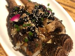 -胡桃里音乐酒馆(石家庄店)