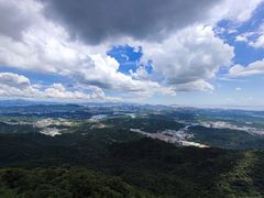-阳台山森林公园