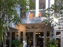-Fern Forest Cafe