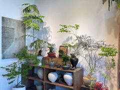 -自由生长植物工作室(深港花卉中心店)