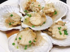 -高佳庄·舟山海鲜(海景旗舰店)