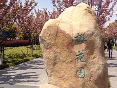 iphone_upload_pic-高东镇樱花园