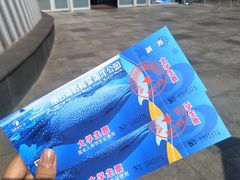 -烟台海昌鲸鲨海洋公园