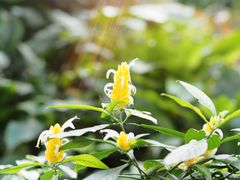 -北京植物园-展览温室