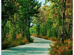 -野鸭湖国家湿地公园