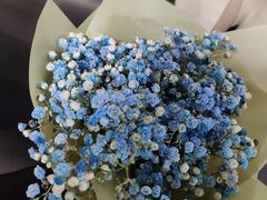 -循礼门鲜花花市(武汉循礼门店)