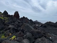 -涉地可支