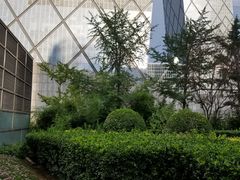 -中央广播电视总台(光华路办公区)