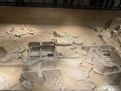 -洛阳周王城天子驾六博物馆