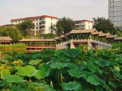 -西海子公园