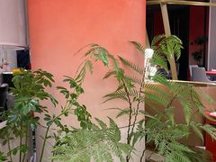 -红雀围·海鲜火锅(陆家嘴中心店)