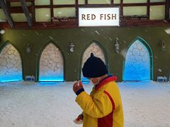 -世界之窗阿尔卑斯冰雪世界