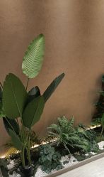 -丽都整形美容医院·全国连锁旗舰店