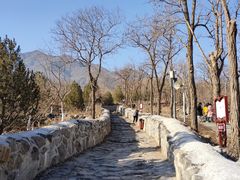 -阳台山自然风景区