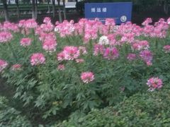 -辽宁大学(崇山校区)