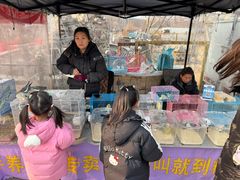 -中环花鸟鱼虫市场